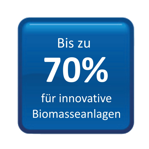 Biomasseanlagen 2022